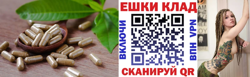 Купить закладки  Омутнинск  ЭКСТАЗИ DUBAI 