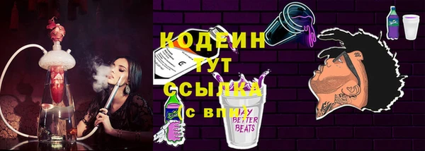 твердый Лагань