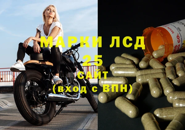 дживик Кулебаки