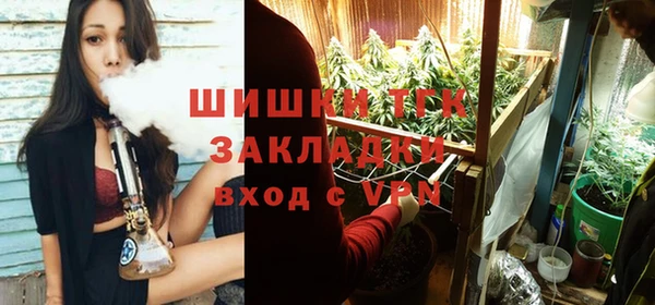 дживик Кулебаки