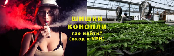 твердый Ладушкин